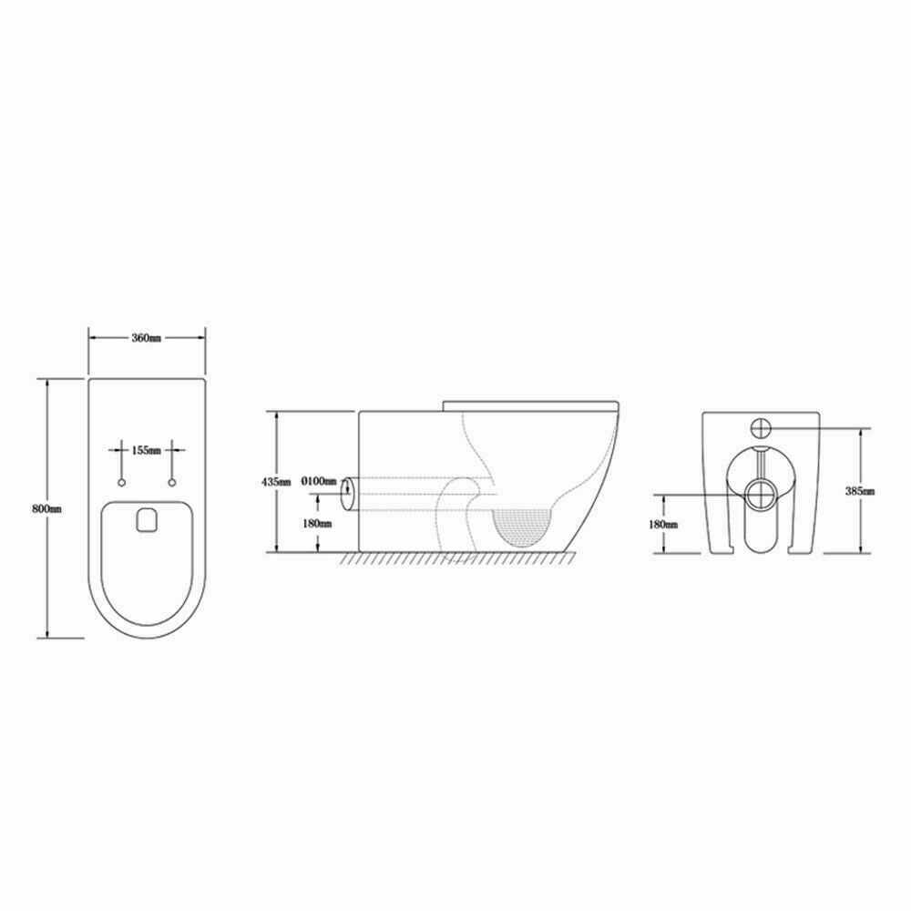 Rimless Wall Faced Floor Pan Aged Care Disabled Toilet concealed inwall cistern